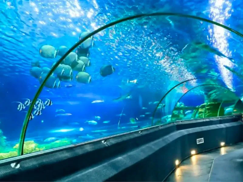 Nha Trang - Thiên đường nghỉ mát