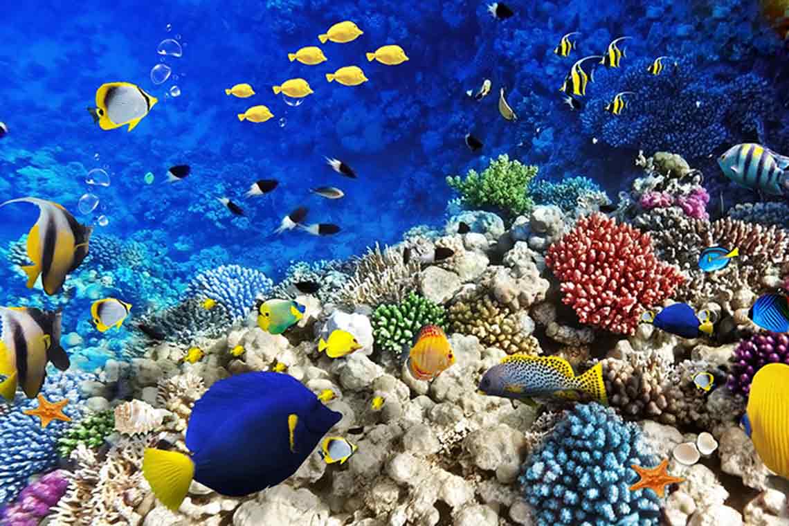 New York - Washington DC - Las Vegas - Los angeles - San Diego