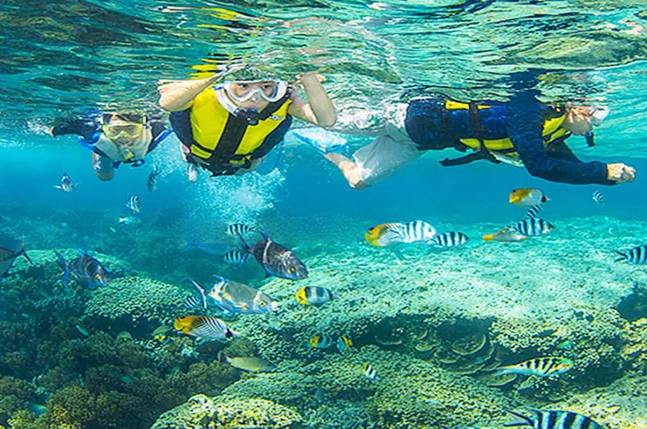 Ấn Độ - Nepal - Hành Hương Về Đất Phật, (9N, Bay TG)