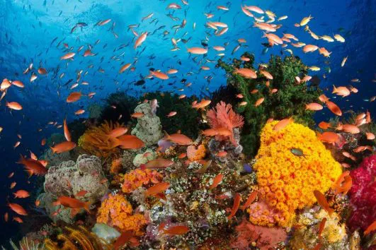 New York - Washington DC - Las Vegas - Los angeles - San Diego